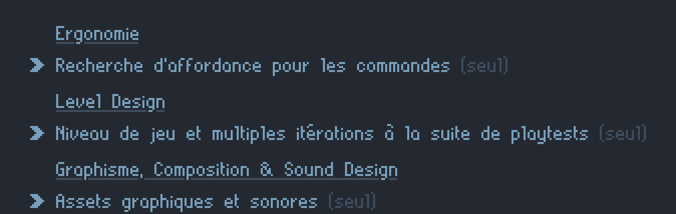 Mon travail dans le cadre de Programmer's Odyssey